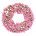 Floristik24 Echeveria wreath pink Ø18cm 4pcs
