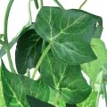 Floristik24 Ivy garland artificial plant ivy artificial green 170cm