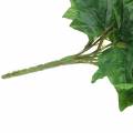Floristik24 Ivy hanger large leaf 110cm