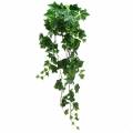Floristik24 Ivy hanger large leaf 86cm