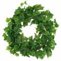 Floristik24 Ivy wreath Ø36cm