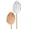 Floristik24 Artificial quail eggs on a stick deco egg Easter decoration 4cm 18pcs
