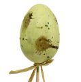 Floristik24 Egg 6cm green on stick 6pcs