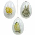 Floristik24 Easter eggs to hang with animal motifs chick, bird, rabbit white assorted 3pcs