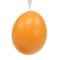 Floristik24 Egg to hang green-orange 6cm 12pcs