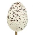 Floristik24 Egg on a stick white 3.5cm L18cm 12pcs