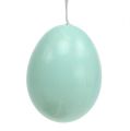 Floristik24 Egg to hang 6cm blue-brown ass. 12pcs
