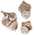 Acorns, natural product for decoration, whitewashed, 1-3cm, 300g | Floristik24.ie