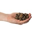Natural acorn caps, decorative bowls for autumn and Advent, 2cm, 300g | Floristik24.ie
