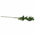 Floristik24 Artificial oak leaf branch with acorns 90cm