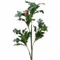 Floristik24 Artificial oak leaf branch with acorns 90cm