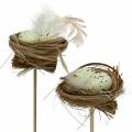 Floristik24 Deco plug bird&#39;s nest, Easter decoration, nest with eggs 23cm 6pcs