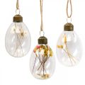 Floristik24 Hanging eggs, dried flowers, Easter eggs, glass decorations for spring H6.5cm, set of 6