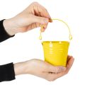 Colorful buckets, Ø8cm H7.5cm, 12 pieces | Floristik24.ie