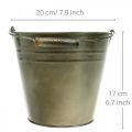 Floristik24 Metal pot, bucket for planting, planter Ø20cm H17cm