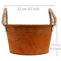 Floristik24 Metal pot with rope handles, plant bowl, autumn, patina Ø22cm H12cm