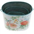 Floristik24 Plant bucket oval vintage spring decoration planter metal 26/22 / 17cm set of 3