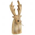 Floristik24 Elk wood natural 32cm x 10cm