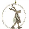 Floristik24 Reindeer to hang, Christmas pendant, Advent decoration in a ring Ø15cm set of 3