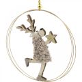 Floristik24 Reindeer to hang, Christmas pendant, Advent decoration in a ring Ø15cm set of 3