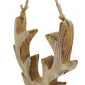 Floristik24 Moose head wood to hang 20x10.5cm 2pcs