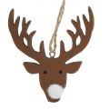 Floristik24 Elk head wood to hang natural 6.5 x 7cm 8pcs