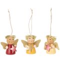 Floristik24 Decorative angel pendant with star for hanging, 5cm, 9 pieces