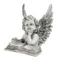 Floristik24 Angel with book 14.5cm 1p