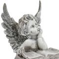 Floristik24 Angel with book 14.5cm 1p