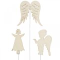 Floristik24 Advent plug angel, wings to stick, wooden angel, Christmas decoration nature, white, gold glitter 18pcs