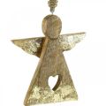 Floristik24 Deco angel mango wood deco figure to hang 13 × H13.5cm 2pcs