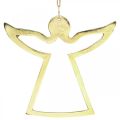 Floristik24 Metal pendants, decorative angels, golden advent decoration 15 × 16.5cm