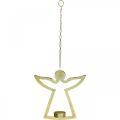 Floristik24 Decorative angel, tealight holder to hang, metal decoration golden H20cm