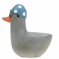 Floristik24 Decorative duck with glasses and swimming cap gray 10.5cm 4pcs