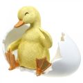 Floristik24 Hatched chick, duck figure, duckling in egg H10cm W12.5cm
