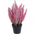 Floristik24 Erika pink heather broom heather artificial plant H26cm