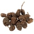 Floristik24 Alder cones, natural product for decoration and crafting, gold, 3cm, 300g