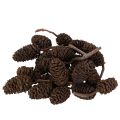 Floristik24 Natural alder cones, loose, for decoration, 3cm, 300g, natural brown.