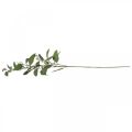 Floristik24 Artificial eucalyptus branch with buds deco branch 60cm
