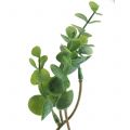 Floristik24 Artificial eucalyptus branch green 37cm 6pcs