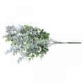 Floristik24 Artificial eucalyptus branch snowed deco branch eucalyptus Christmas 48cm