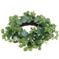 Floristik24 Decorative wreath eucalyptus green white flowers artificial Ø45cm
