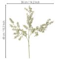 Artificial eucalyptus branch, decorative branch for vases and bouquets, 49cm, 4 pieces | Floristik24.ie