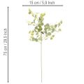 Artificial eucalyptus branch with round leaves, 75cm, 4 pieces | Floristik24.ie