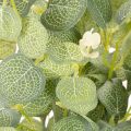 Artificial eucalyptus branch with round leaves, 75cm, 4 pieces | Floristik24.ie