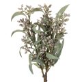 Floristik24 Artificial eucalyptus branch decoration, branch arrangement, 3 pieces