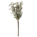Artificial eucalyptus branch decoration, branch arrangement, 3 pieces | Floristik24.ie