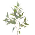 Floristik24 Artificial eucalyptus branch, natural green, decoration, 100cm