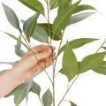 Artificial eucalyptus branch, natural green, decoration, 100cm | Floristik24.ie