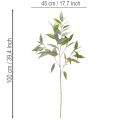 Artificial eucalyptus branch, natural green, decoration, 100cm | Floristik24.ie